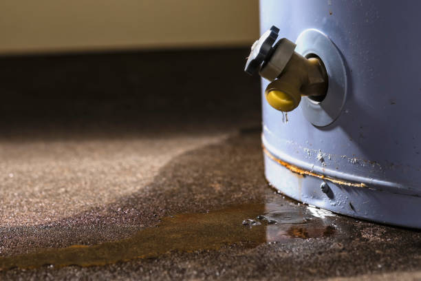 Best Water damage restoration near me  in Kittery Point, ME