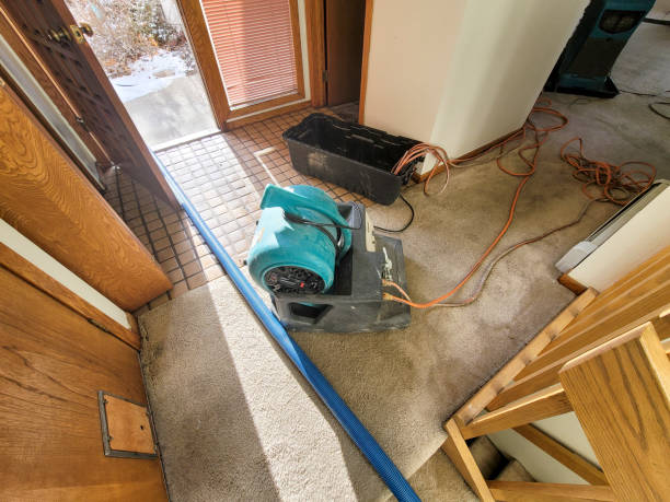 Best Flood restoration services  in Kittery Point, ME
