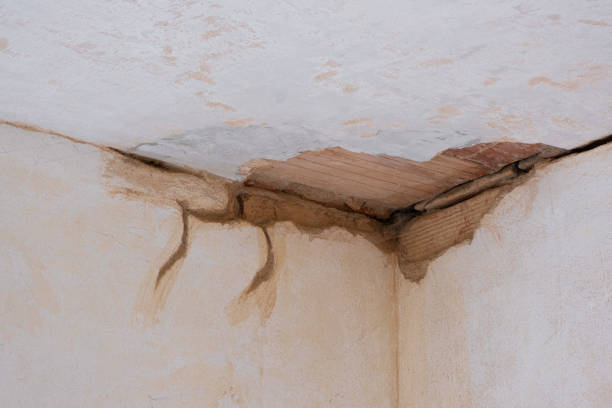 Best Water damage restoration process  in Kittery Point, ME